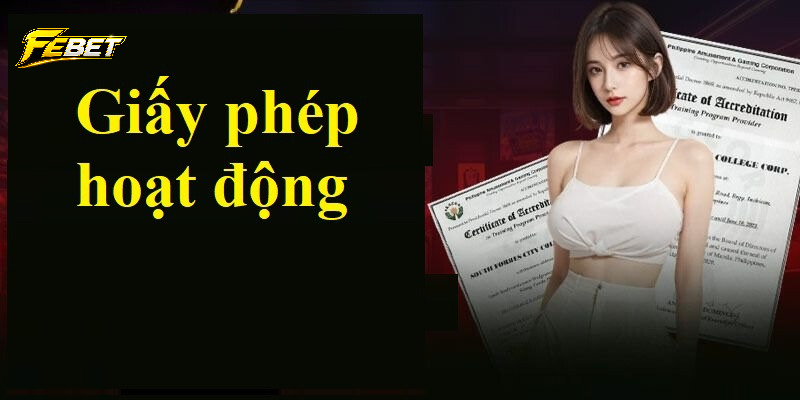 Các tiêu chí mà giấy phép hoạt động cần có